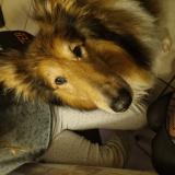 Marley