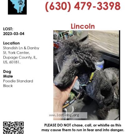 Photo 1/1 Reunited dog Lost in Villa Park