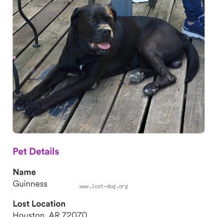 Photo 1/1 Reunited dog Lost in Houston