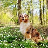 Marley