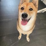Naoka