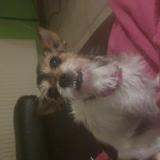 Lola