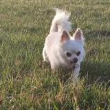 Charly