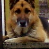 Roxy