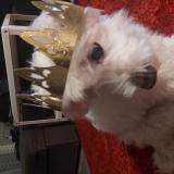 SNOOPY