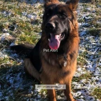 Photo 1/1 Talia Chien lost in Chateauneuf de galaure