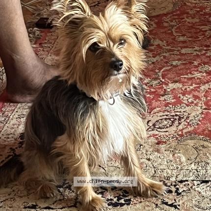 Photo 1/1 Samy Chien lost in Le moule