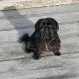 Louna