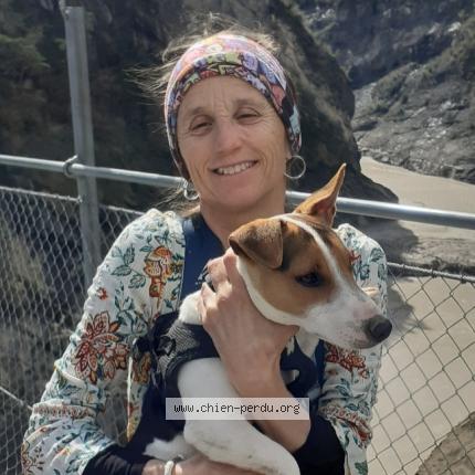 Photo 1/1 Youtwo Dog lost in Notre dame du pre