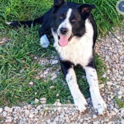 Photo 1/1 Taia Chien lost in Gageron