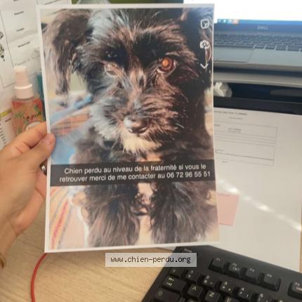 Photo 1/1 Tina Chien lost in Roubaix