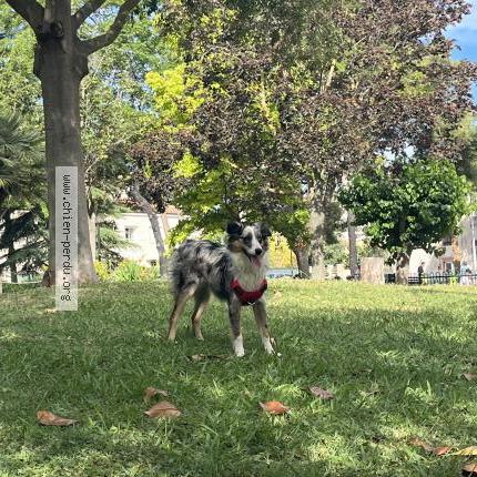 Photo 1/1 Yami Chien lost in Lattes