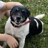 Lexie
