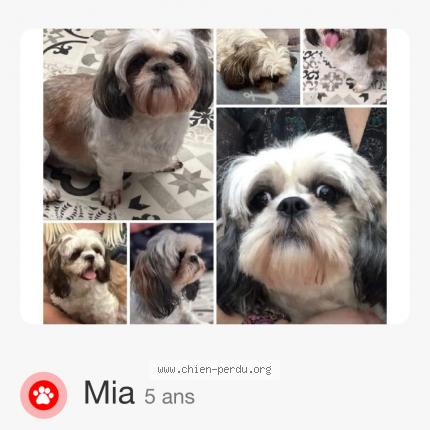 Photo 1/1 Mia Chien lost in Feron