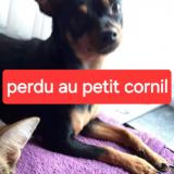 Minie