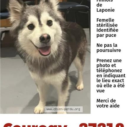 Photo 1/1 Ulya Chien lost in Courcay