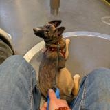 Kaia