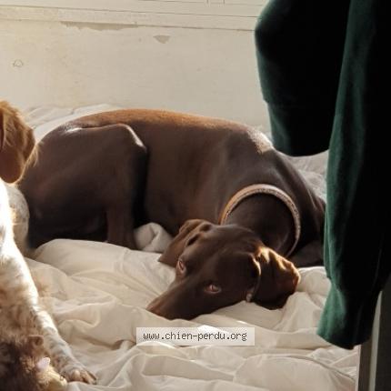 Photo 1/1 Tia Chien lost in Hendaye