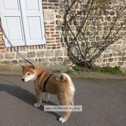 Photo 1/1 Yuki Chien lost in Rouen