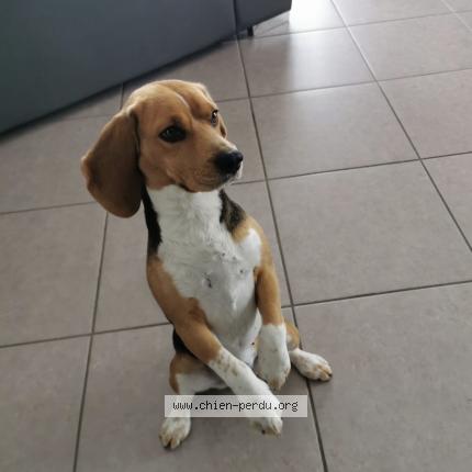 Photo 1/1 Talia Chien lost in Marsac en livradois