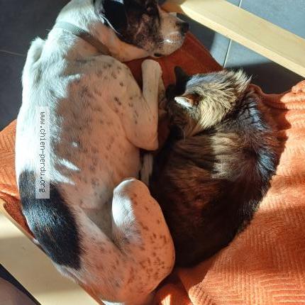 Photo 1/1 Neya Chien lost in Avancon