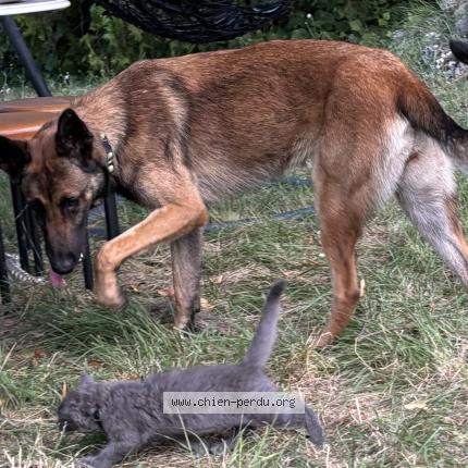 Photo 1/1 Izia Chien lost in Le colombier