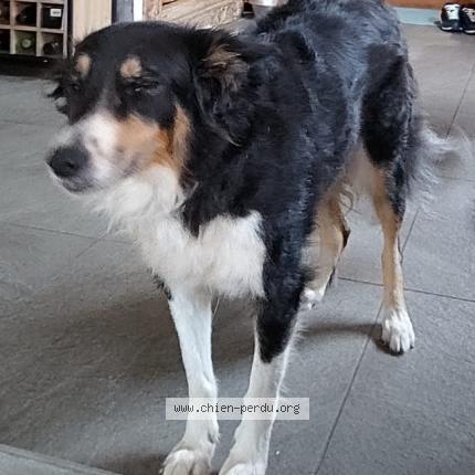 Photo 1/1 Nina Chien lost in St leu