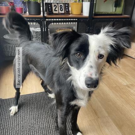 Photo 1/1 Vicky Chien lost in Caen