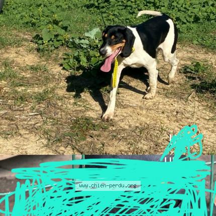 Photo 1/1 Umi Chien lost in Auros