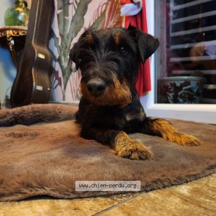 Photo 1/1 Rita Chien lost in Tavernes