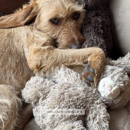 Photo 1/1 Tiara Chien lost in Saint orens de gameville