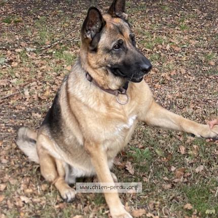 Photo 1/1 Willy Chien lost in Lue