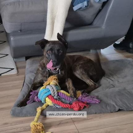 Photo 1/1 Kira Chien lost in Chanas