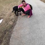 Picture of dog lost at Queige