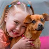 Picture of dog lost at Maroilles