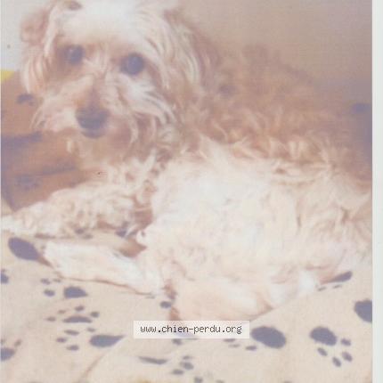 Photo 1/1 Etan Chien lost in Locoal mendon