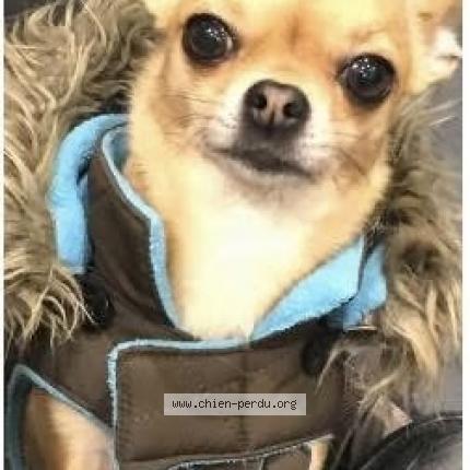 Photo 1/1 Julia Chien lost in Saint ouen