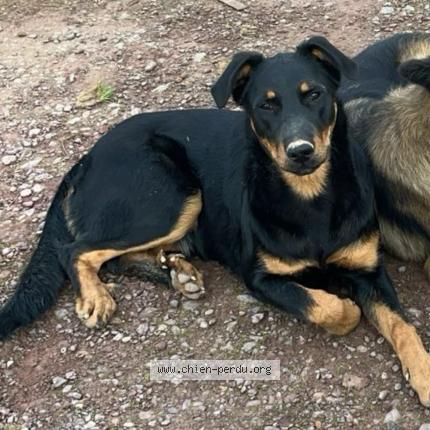 Photo 1/1 Vicky Chien lost in Mauron