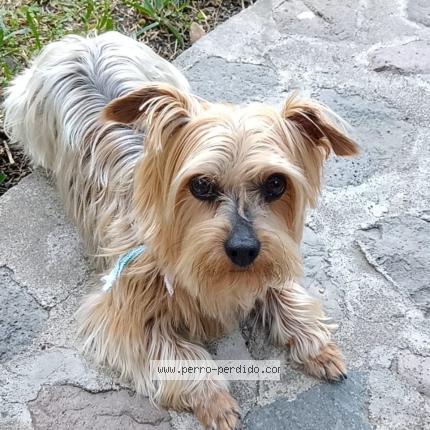 Photo 1/1 Teo Chien lost in Guatemala