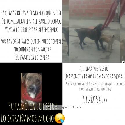 Photo 1/1 Tom Chien lost in Lomas de zamora