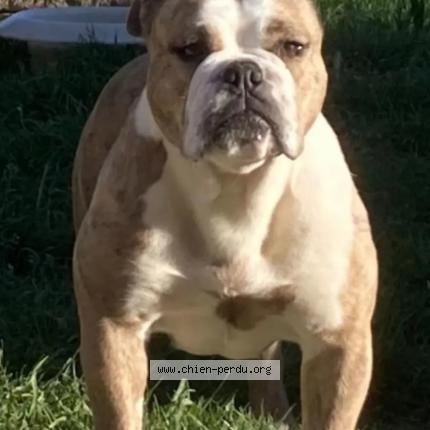 Photo 1/2 Elvira Chien lost in Eyguieres