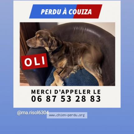 Photo 2/2 Oli Chien lost in Couiza