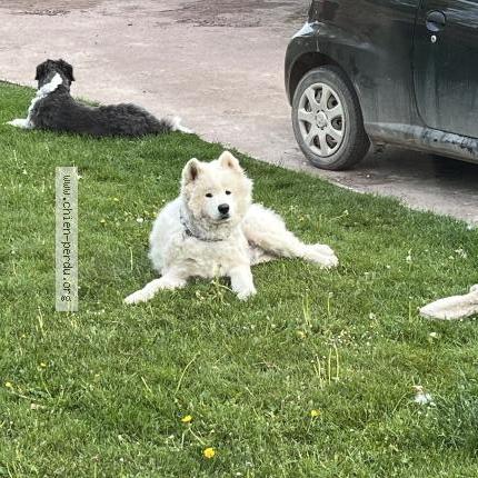 Photo 1/1 Sam Chien lost in Behencourt