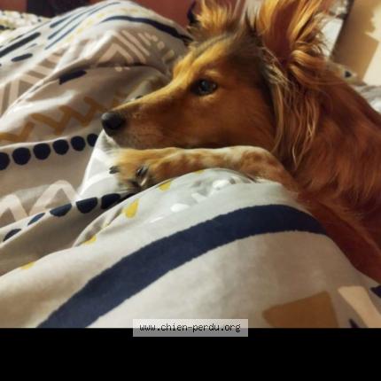 Photo 1/1 Isa Chien lost in Fechain