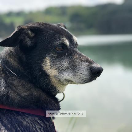 Photo 1/1 Jimi Chien lost in Campa