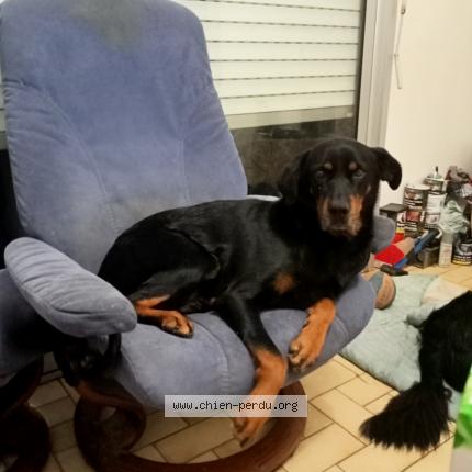 Photo 1/1 Taya Chien lost in Nantes