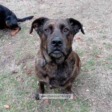 Photo 1/1 Kalie Chien lost in Lambesc