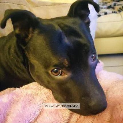 Photo 1/1 Gina Chien lost in Les eglisottes et chalaure