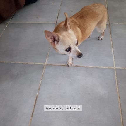 Photo 1/1 Tina Chien lost in Marliac