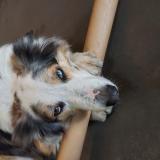 Jack